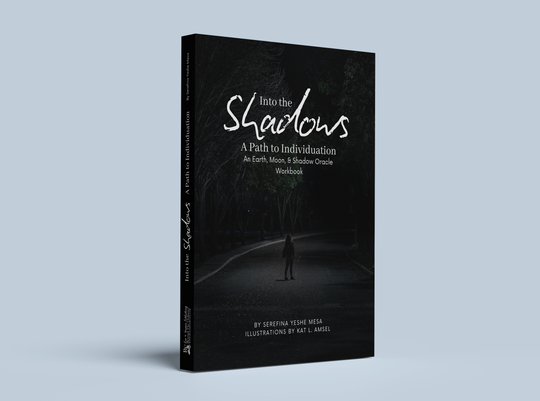 Into the Shadows: A Path to Individuation [PREORDER]